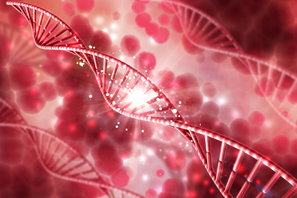 DNA to Protein
