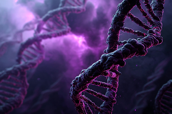 DNA Sequencing