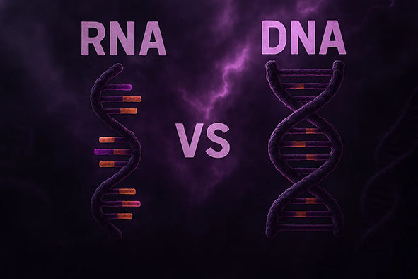 RNA vs DNA