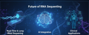 Future of RNA Sequencing