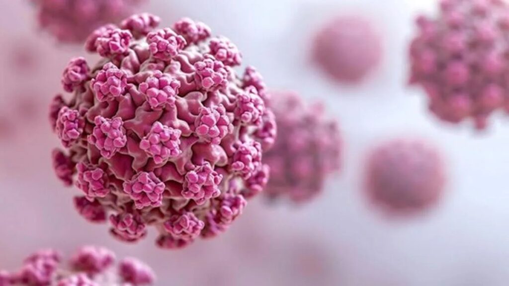 Why Choose UNCODED’s HPV-STI Genomap