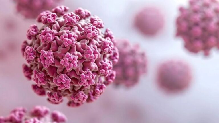 Why Choose UNCODED’s HPV-STI Genomap